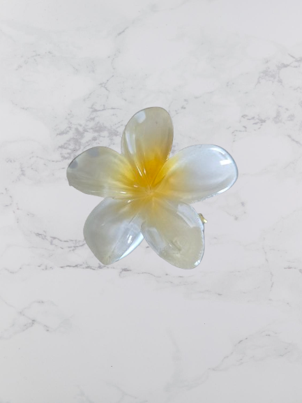 mini pince a cheveux