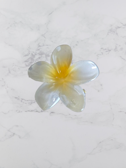 mini pince a cheveux