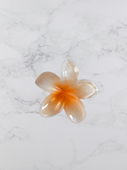 mini pince a cheveux