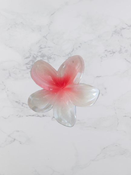 mini pince a cheveux