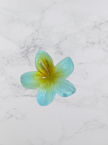 mini pince a cheveux