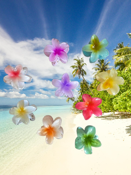 mini pince a cheveux