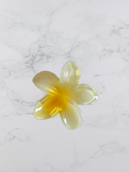 mini pince a cheveux