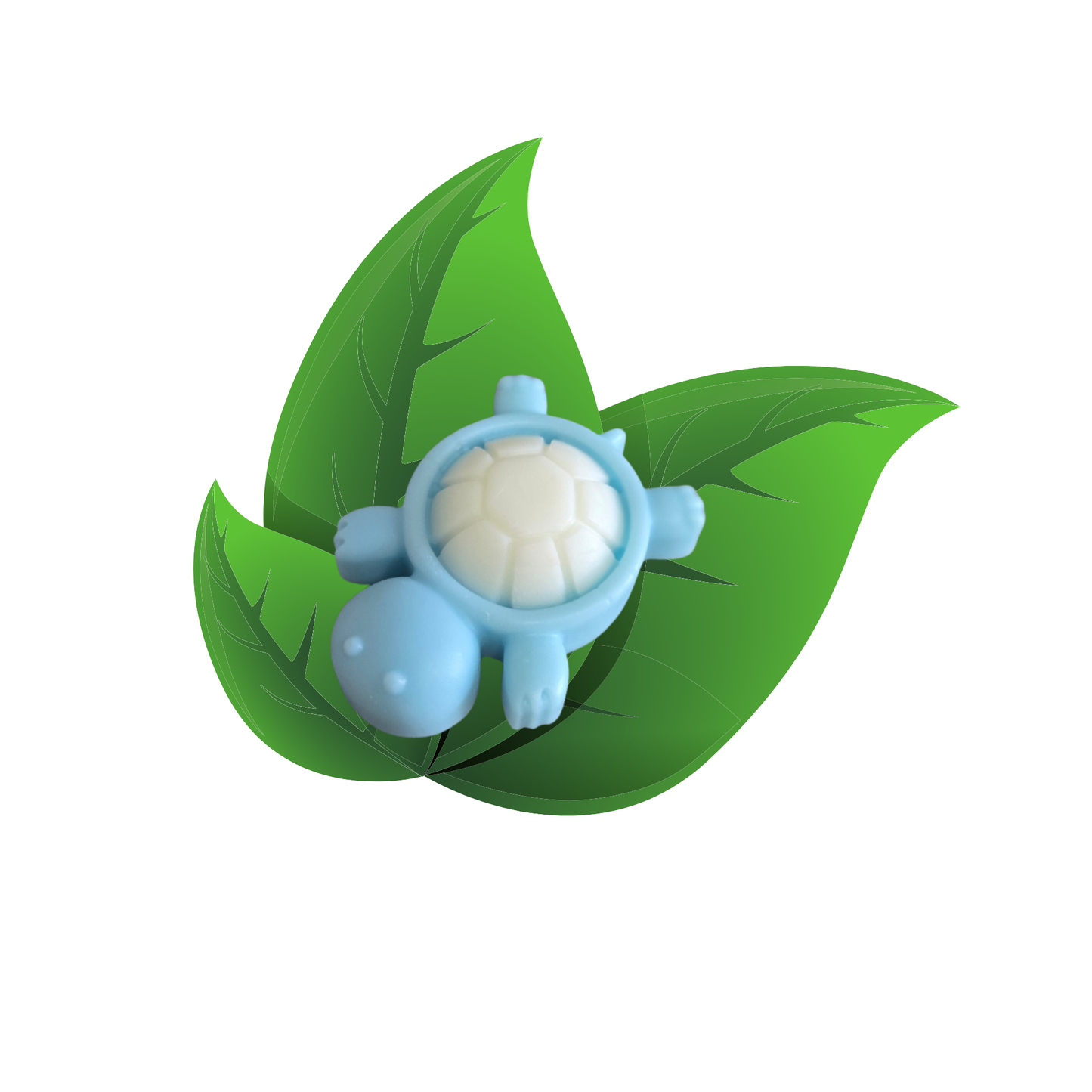fondant tortue