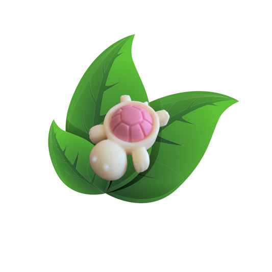 fondant tortue