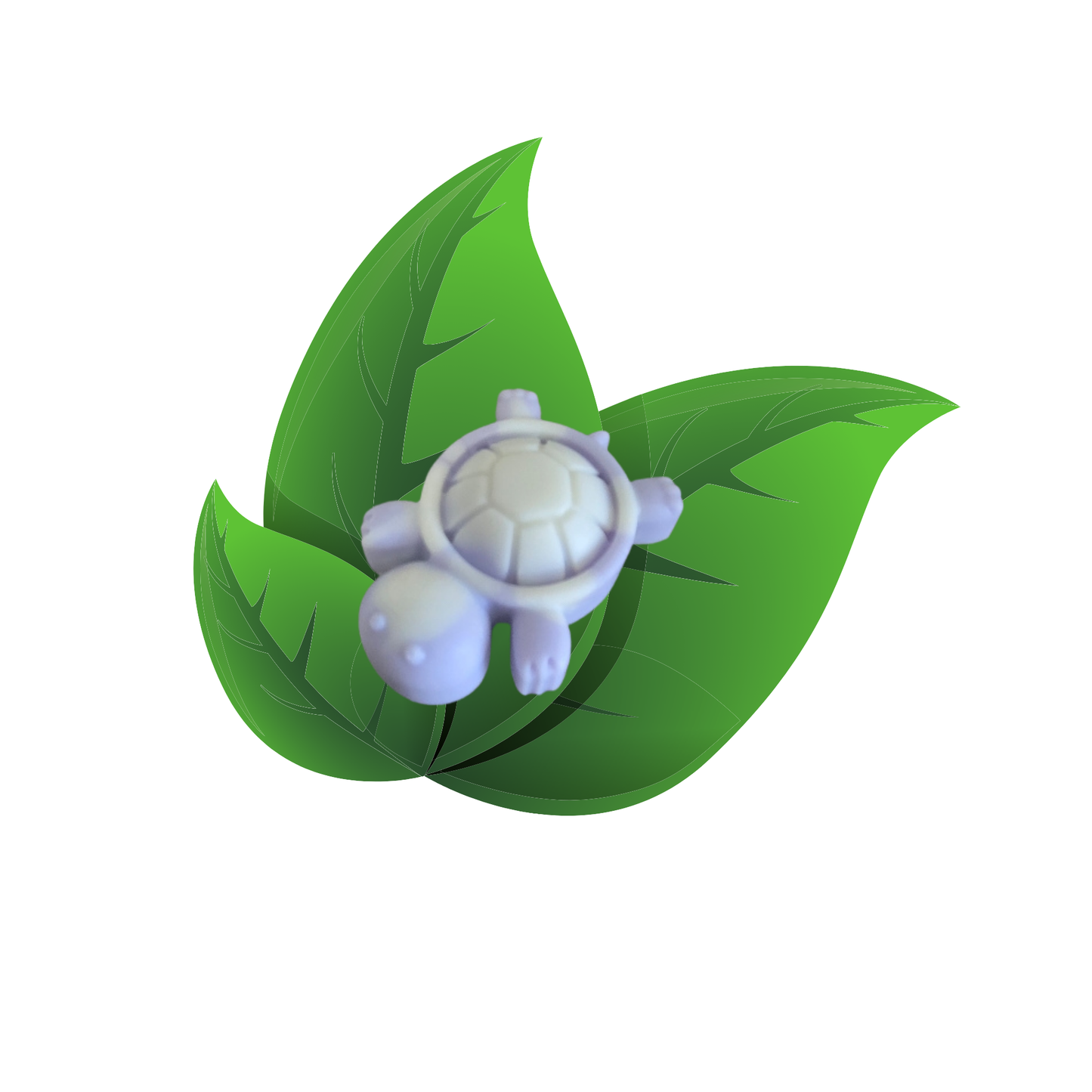 fondant tortue