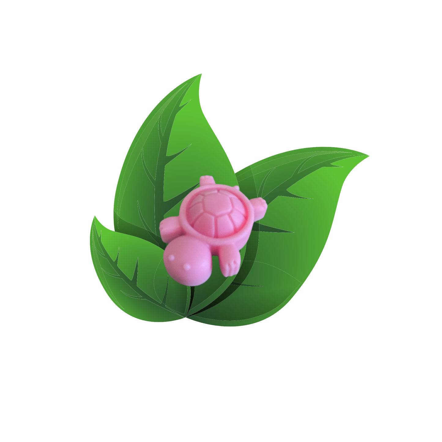 fondant tortue