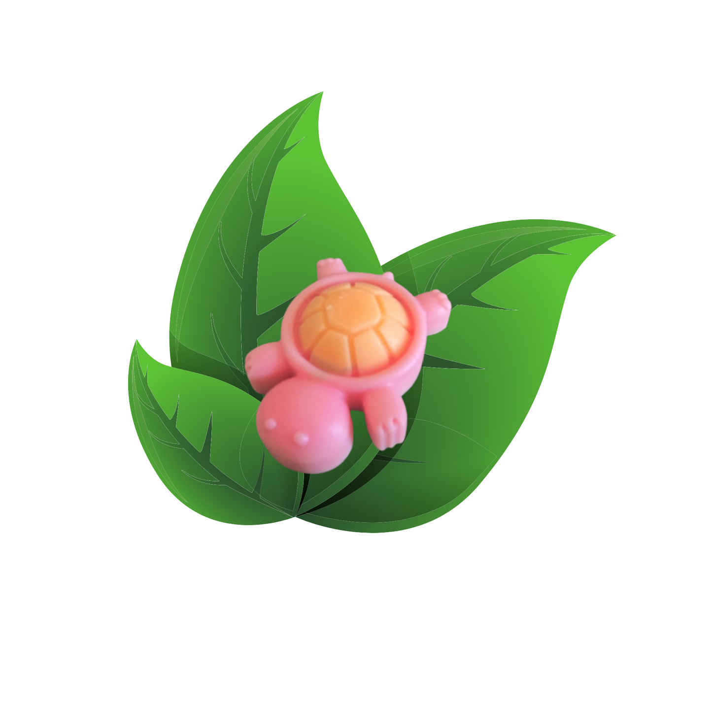 fondant tortue