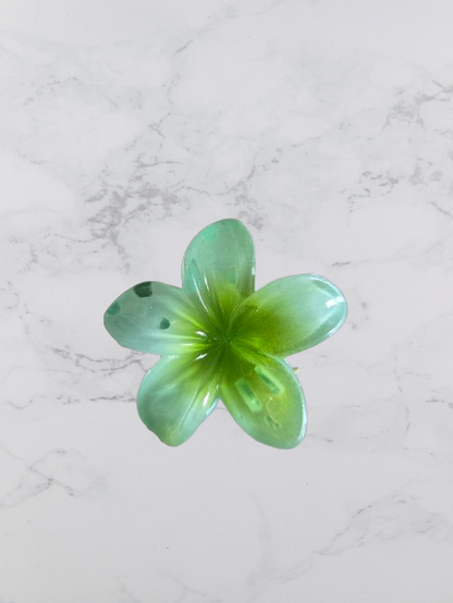 mini pince a cheveux