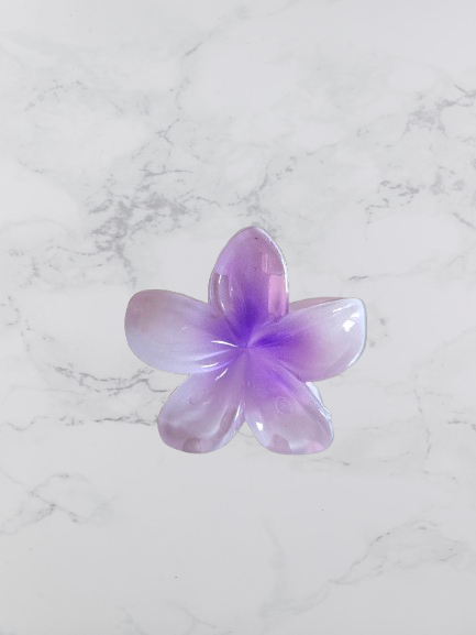 mini pince a cheveux